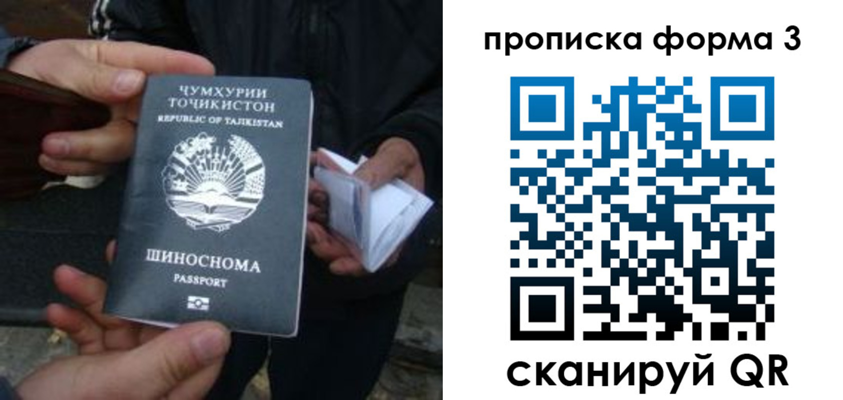 прописка 2025 в Пущино